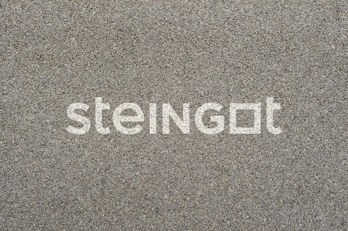 ��������� Steingot ������������� 200x100x40 �� ����� ������ �������